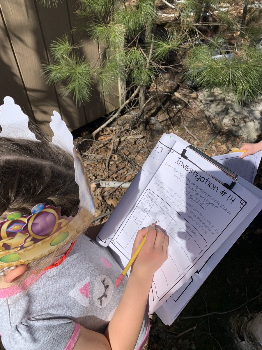 BassettsFirsts's tweet photo. Today’s science investigation brought us outside to find plants in our school yard. We had great conversations after exploring what we found and recorded. https://t.co/IxktUqluCd