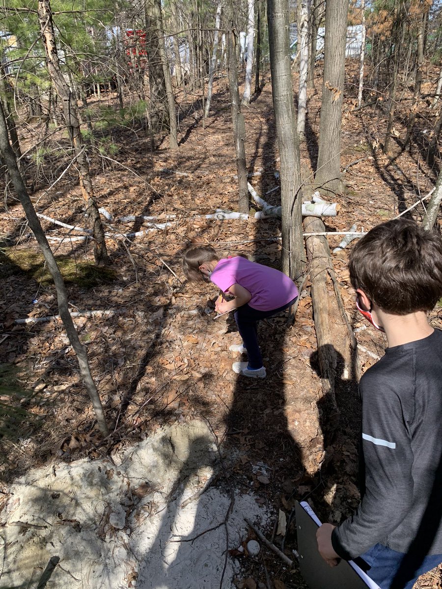 BassettsFirsts's tweet photo. Today’s science investigation brought us outside to find plants in our school yard. We had great conversations after exploring what we found and recorded. https://t.co/IxktUqluCd