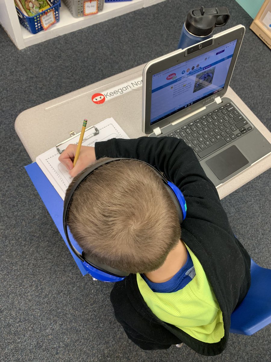 BassettsFirsts's tweet photo. We started our independent animal research writing today! They were so excited! https://t.co/czfbaVvno0