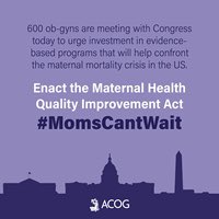 I’m an #obgynadvocate in El Paso, TX &amp; am dedicated 2 improving maternal health outcomes. <a href="/JohnCornyn/">Senator John Cornyn</a> <a href="/chiproytx/">Chip Roy</a> @tedcruz@RepTonyGonzales <a href="/JoaquinCastrotx/">Joaquin Castro</a> <a href="/RepEscobar/">Rep. Veronica Escobar</a> pls support the Maternal Health Quality Improvement Act #MomsCantWait #ObGynAction #CLC2021#ACOGAction