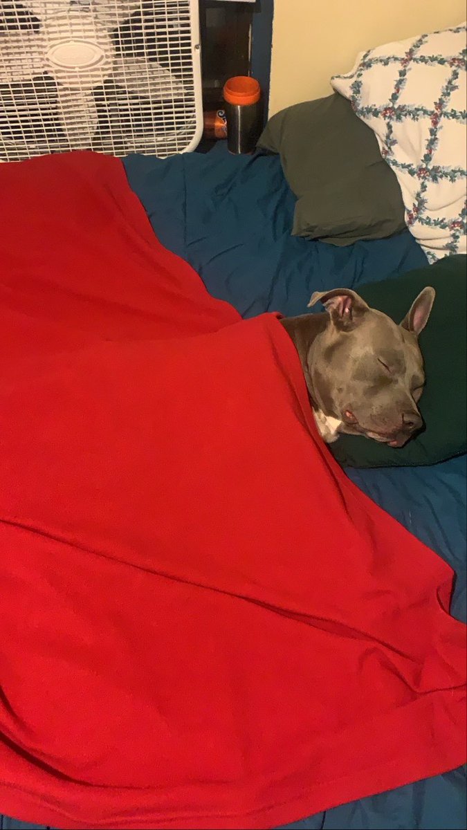 MameloSuave's tweet photo. How I’m sleeping on yah respectfully https://t.co/NnLqHXX0Lf