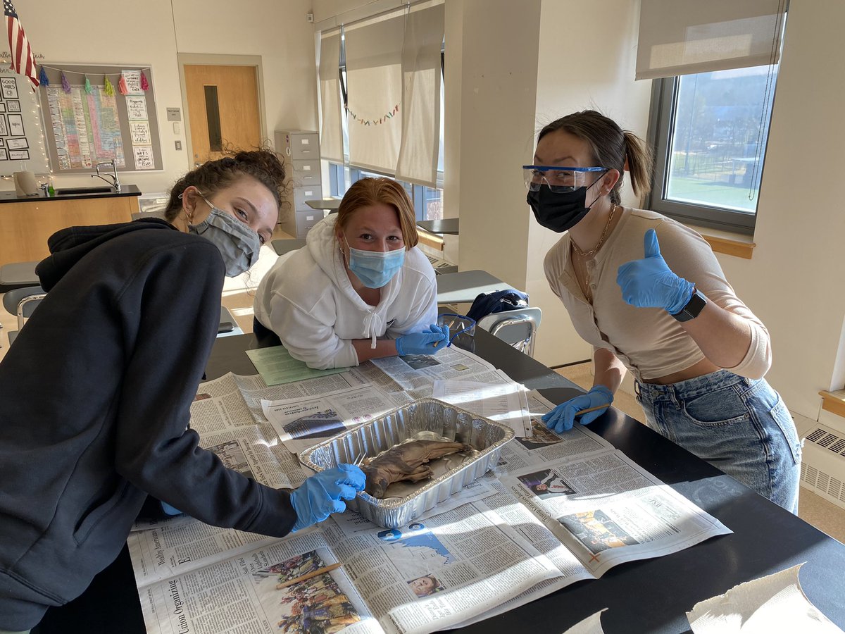 AHSGriffin's tweet photo. A little taste of normalcy today celebrating the end of anatomy parts A and B with fetal pig dissections! Students voted this is the one time they actually enjoyed wearing a mask this year 😂 #smelly https://t.co/rUrWJIROEn