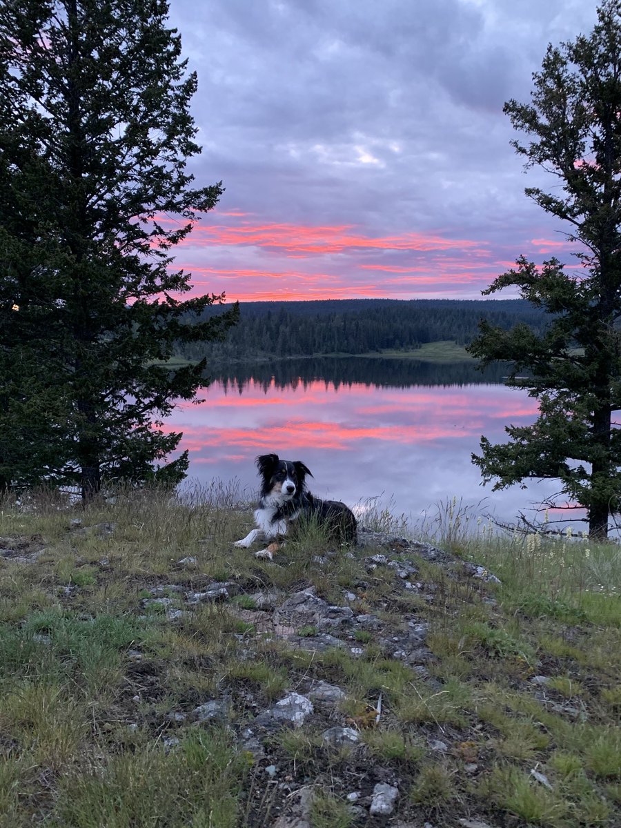 Vickie Taylor tweet media