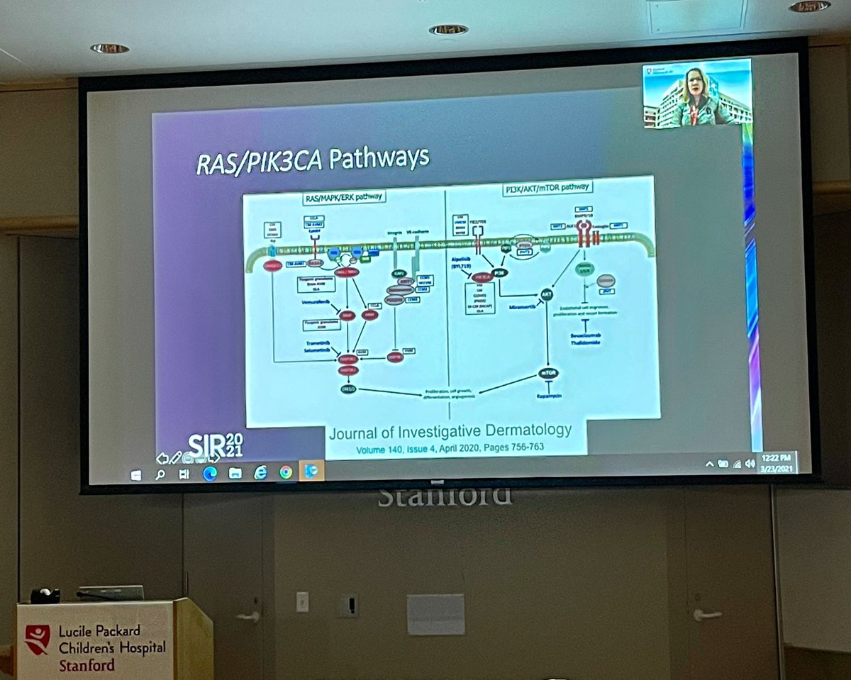 VYoungMD's tweet photo. Exceptional presentation of medical therapy for vascular malformations at #SIR2021 today by Dr. Shellie Josephs of @Stanford_IR @StanfordChild @StanfordMed!!! #NotJustPlumbing #TeamApproach https://t.co/k5QFHMYy52