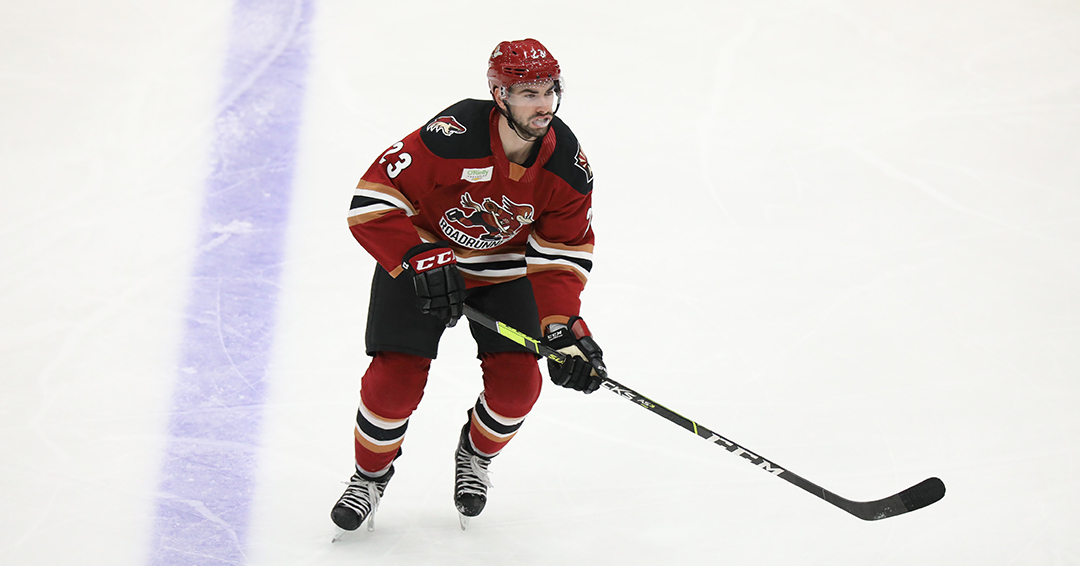 RoadrunnersAHL's tweet photo. Alexa play "On The The Road Again" by Willie Nelson 🎶

🗞️ https://t.co/QxNrdOogvo

#LetsGoTucson 🛫 https://t.co/POVKibzeVE