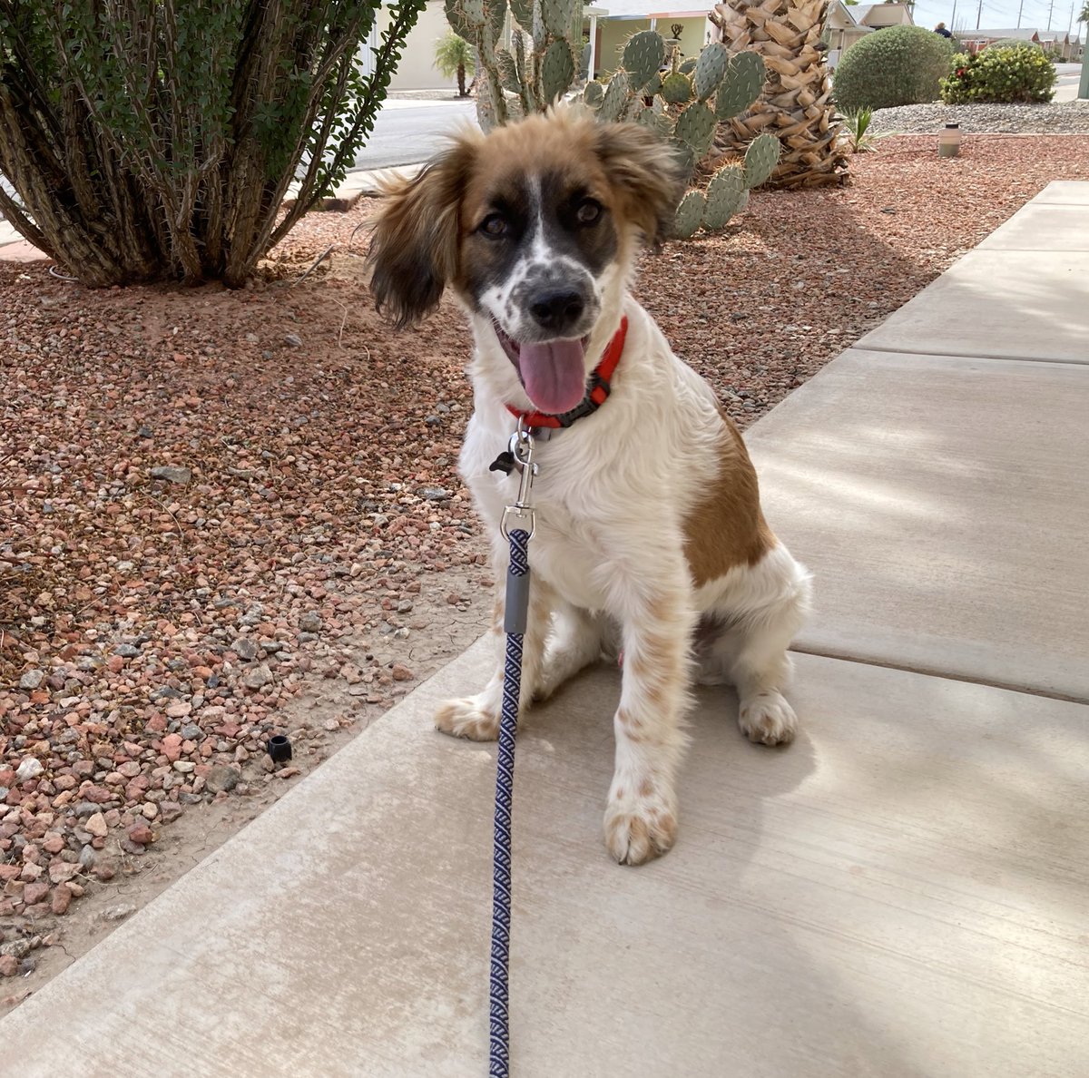 Michelle Dern, MD tweet media