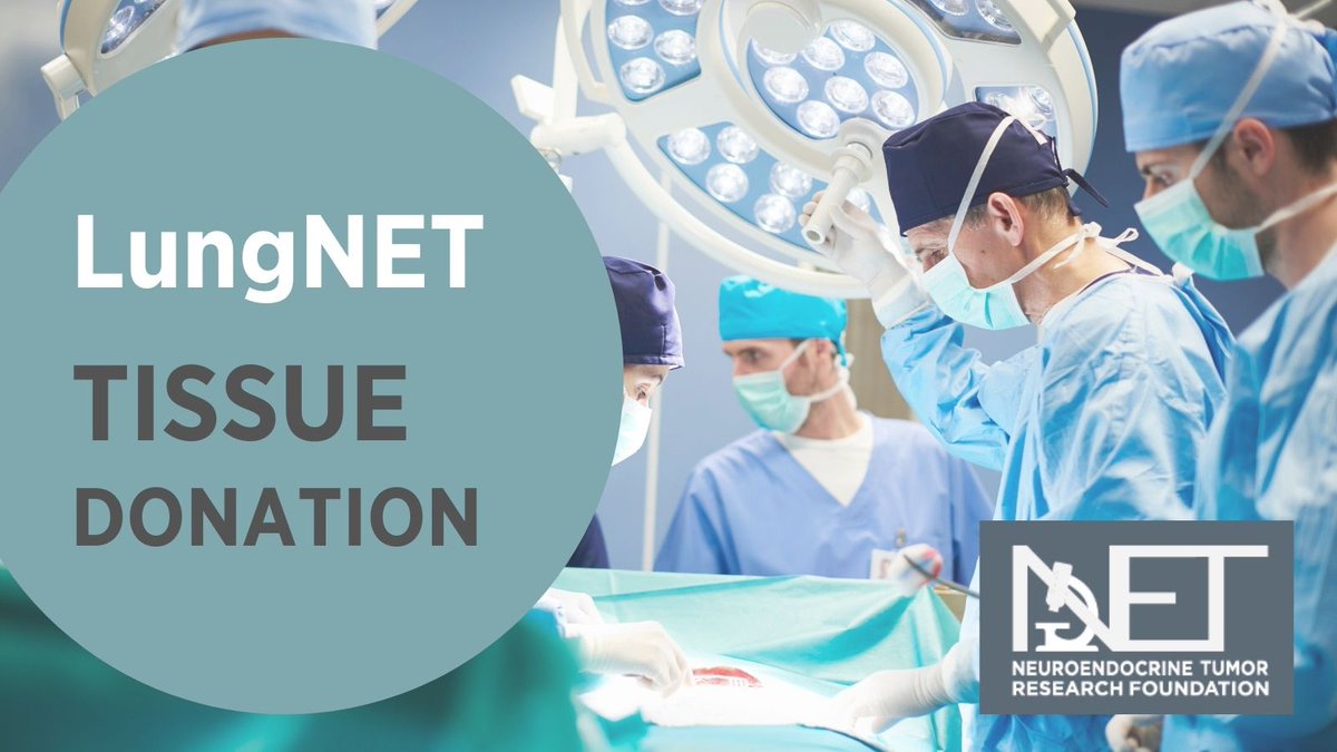 CureNETs's tweet photo. If you are a #LungNET patient who is having surgery, consider donating your excess tumor tissue for research. These cell lines are critical to cancer research and can be used to analyze the genetic composition of tumors and test the effects of drugs. https://t.co/njHDymuT7H https://t.co/5GhEJPmXpN