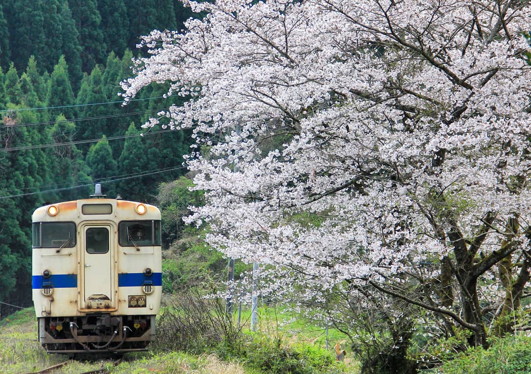 表木山駅