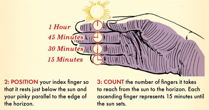 JoseCotesG's tweet photo. How to measure remaining daylight with your hand. 👌🏻 https://t.co/UymleLm4nb