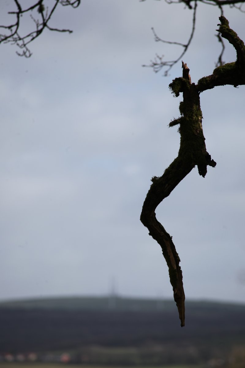 We are launching a rural-based art/science collaborative programme - starting with

I didn't choose the land, the land chose me

gwenllian.co.uk/royal-society-…

How can a Welsh valley begin to respond to the ecological crises of our time?

#artscience #ArtWales