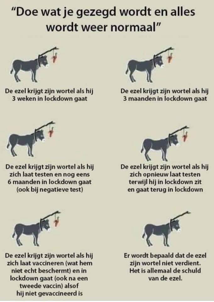 Rob12965398's tweet photo. #persconferentie #avondklok #coronamaatregelen https://t.co/Y2xei5XIdp