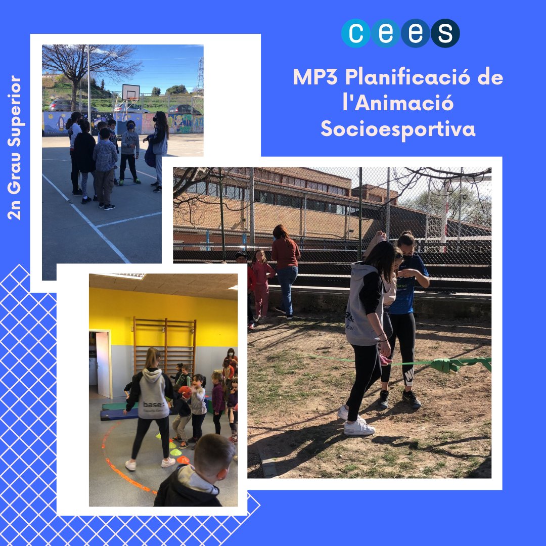 CEES.CAT tweet media