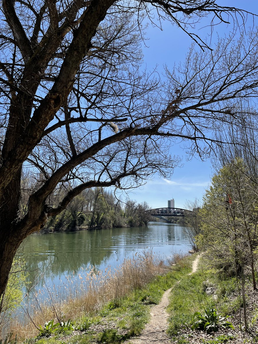 anthonito4u's tweet photo. Rincones que no dejan de ser favoritos. Si paso, pues foto. Y así sucesivamente.
Aprovechando que el Pisuerga pasa por #Valladolid.... #PucelaCity https://t.co/hnu7mn6e2l