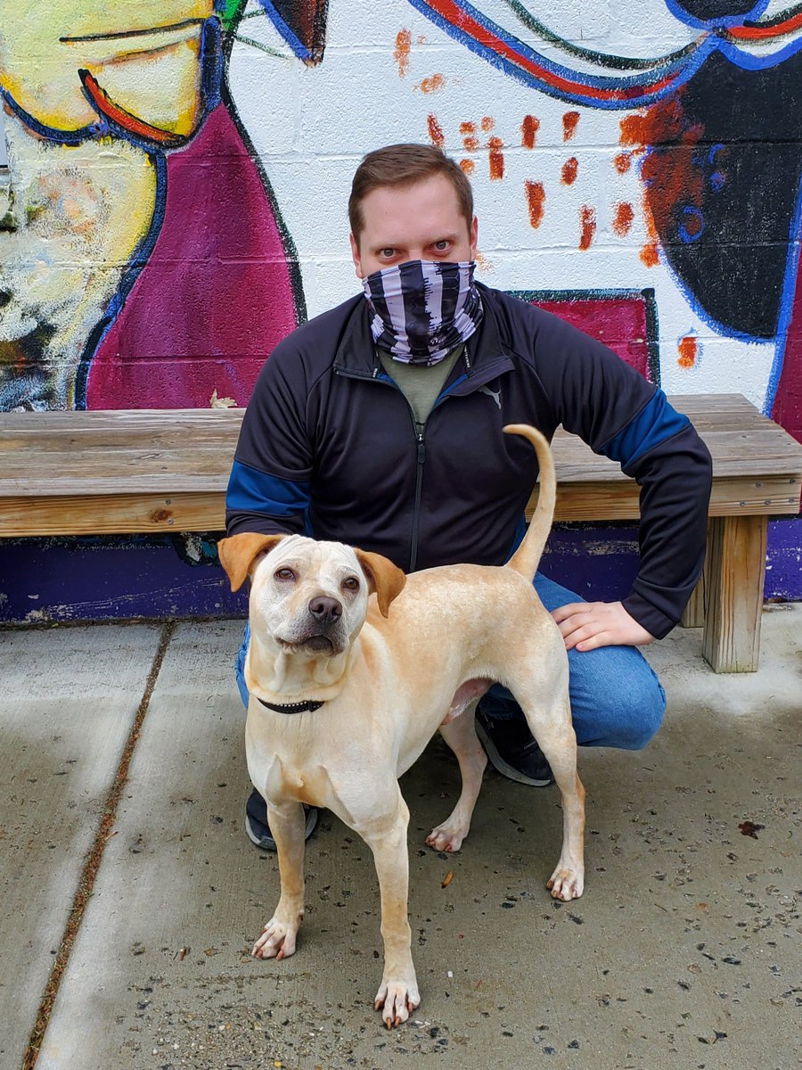 bmorehumane's tweet photo. Casper and Jet are on their way to become spoiled doggos! Thanks to their new people for choosing to adopt!
https://t.co/7NLFjvst7X
#adoptdontshop
#dogsofbaltimore
#baltimorehumanesociety
#fureverhome
#gotchaday https://t.co/0BsQBIrB0d
