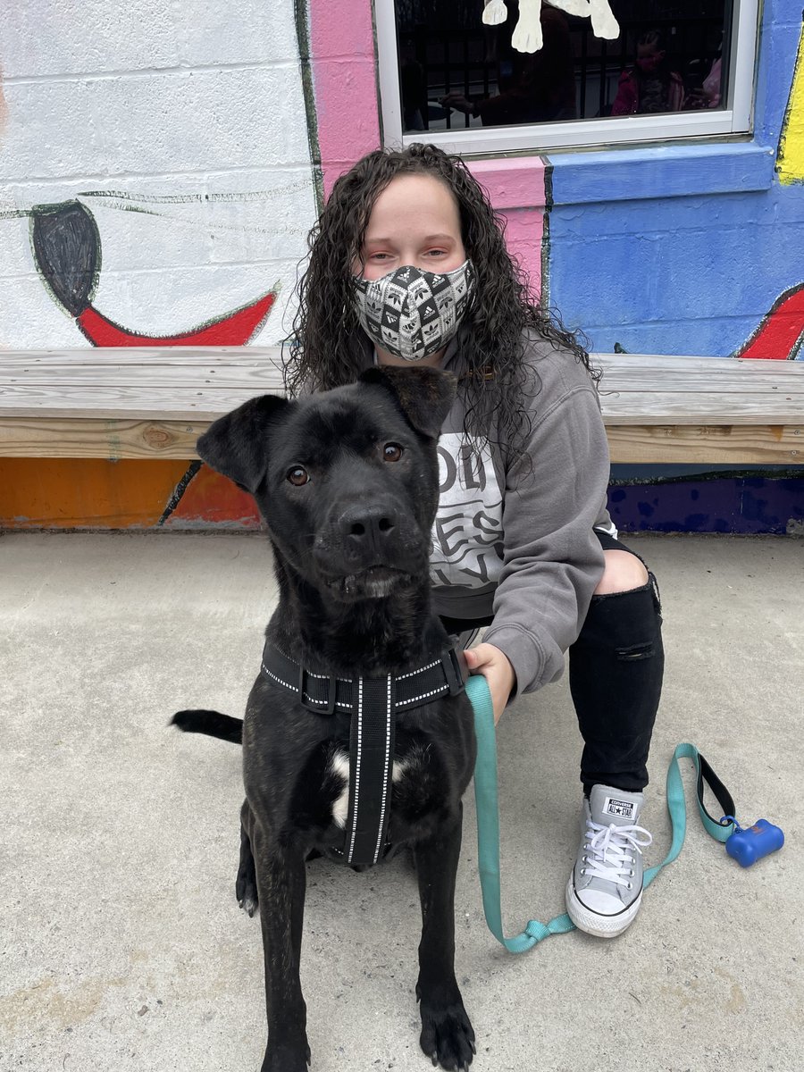 bmorehumane's tweet photo. Casper and Jet are on their way to become spoiled doggos! Thanks to their new people for choosing to adopt!
https://t.co/7NLFjvst7X
#adoptdontshop
#dogsofbaltimore
#baltimorehumanesociety
#fureverhome
#gotchaday https://t.co/0BsQBIrB0d