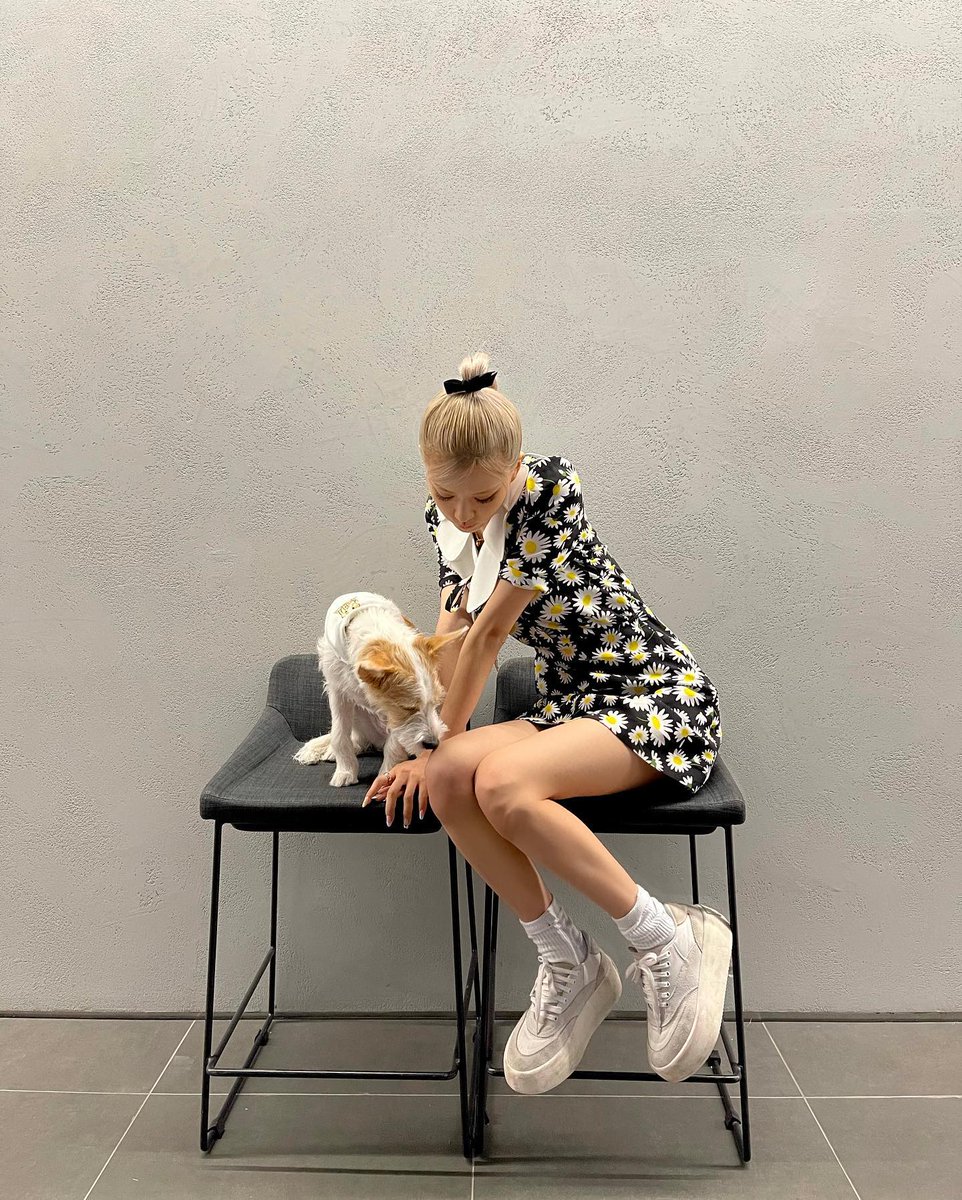howlmxo's tweet photo. ㅤㅤㅤㅤㅤ 🐶 ١ 𝗆𝗒 𝖻𝗲𝘀𝗍 𝖿𝗋𝗂𝖾𝗇𝖽
ㅤㅤㅤㅤㅤㅤ𝗮𝗹𝘄𝗮𝘆𝘀 𝖻𝗒 𝗆𝗒 𝗌𝗶𝗱𝖾.
ㅤㅤㅤㅤㅤㅤ #FEVER_DAY https://t.co/vejoIGJFF9