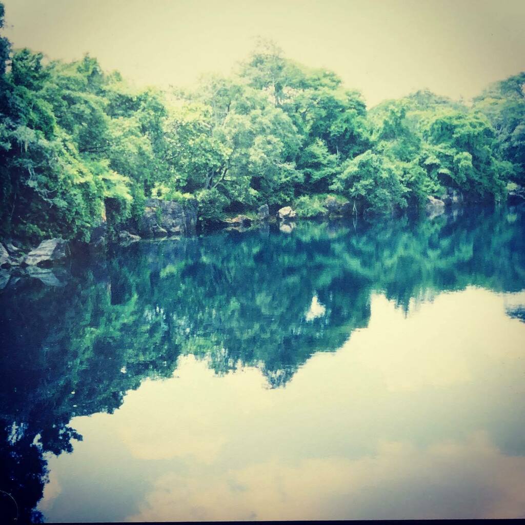 AuthorHerbert's tweet photo. Mirror-like stillness at Lake Kashiba. #swimminghole #naturalsplendor #zambia https://t.co/xznShmH7IK https://t.co/JpmDlRyJ12