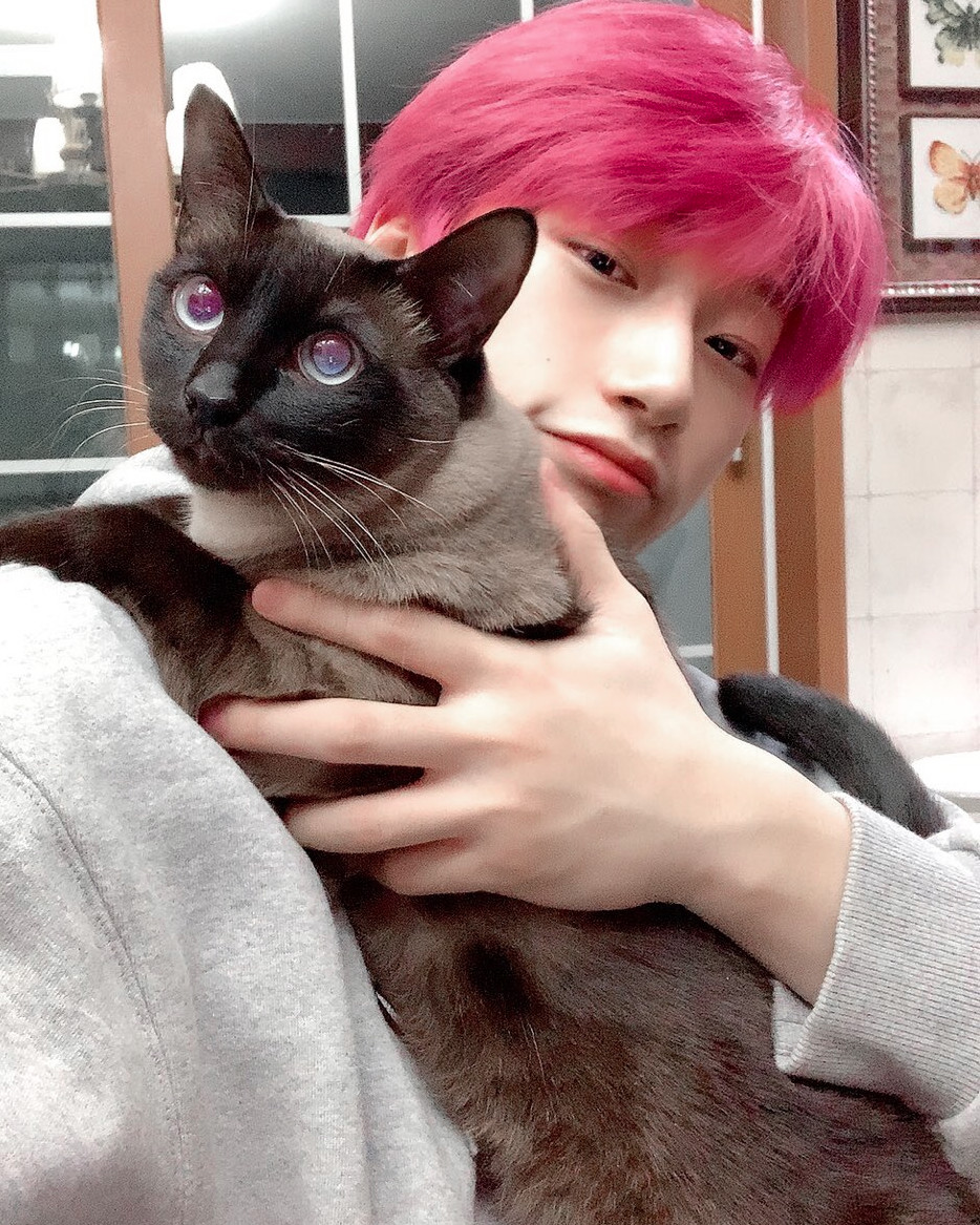 _somechoi's tweet photo. ㅤㅤㅤㅤㅤ 🐱 ١ 𝗆𝗒 𝖻𝗲𝘀𝗍 𝖿𝗋𝗂𝖾𝗇𝖽
ㅤㅤㅤㅤㅤㅤ𝗮𝗹𝘄𝗮𝘆𝘀 𝖻𝗒 𝗆𝗒 𝗌𝗶𝗱𝖾.
ㅤㅤㅤㅤㅤㅤ #FEVER_DAY https://t.co/dPtJPkdZdM