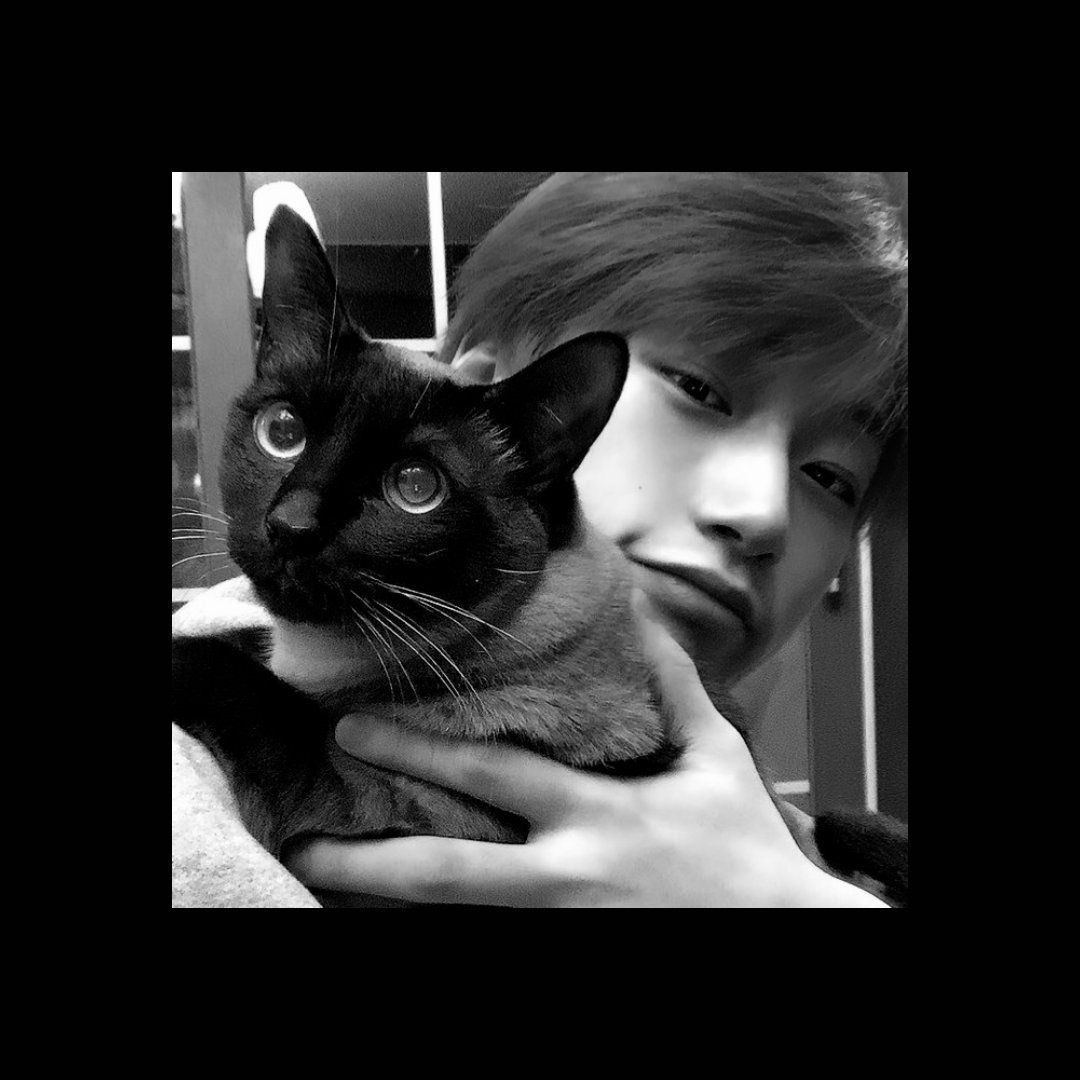 _somechoi's tweet photo. ㅤㅤㅤㅤㅤ 🐱 ١ 𝗆𝗒 𝖻𝗲𝘀𝗍 𝖿𝗋𝗂𝖾𝗇𝖽
ㅤㅤㅤㅤㅤㅤ𝗮𝗹𝘄𝗮𝘆𝘀 𝖻𝗒 𝗆𝗒 𝗌𝗶𝗱𝖾.
ㅤㅤㅤㅤㅤㅤ #FEVER_DAY https://t.co/dPtJPkdZdM