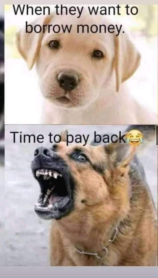JOkebe's tweet photo. https://t.co/nxRLddRisN