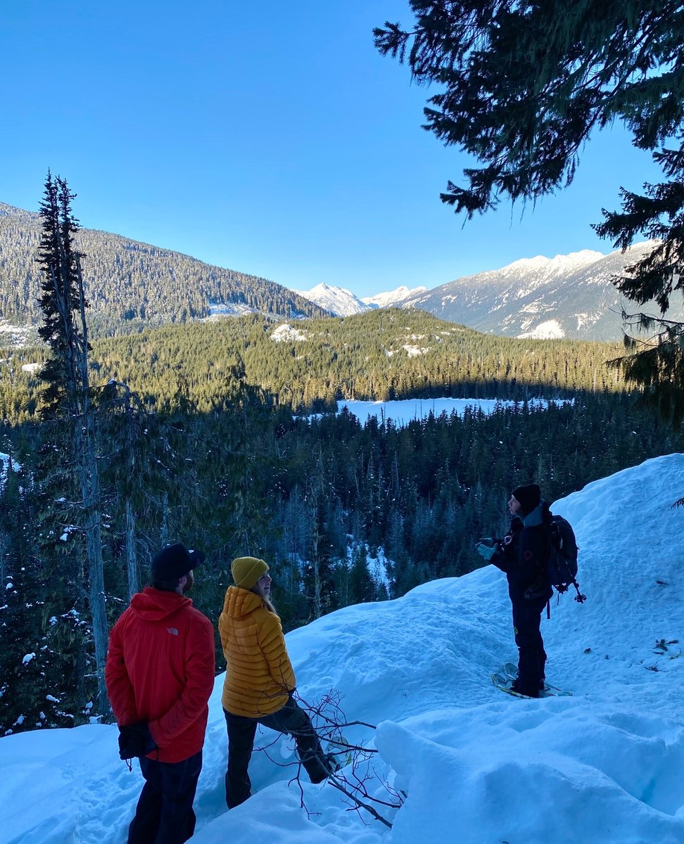 🍃 What does spending time in nature do for our brains!? ⁠
⁠
🗻 Whistler's nature lets our minds play, be and expand. ⁠
⁠
🤔 How? Read on at whistler.com/blog/post/2021…