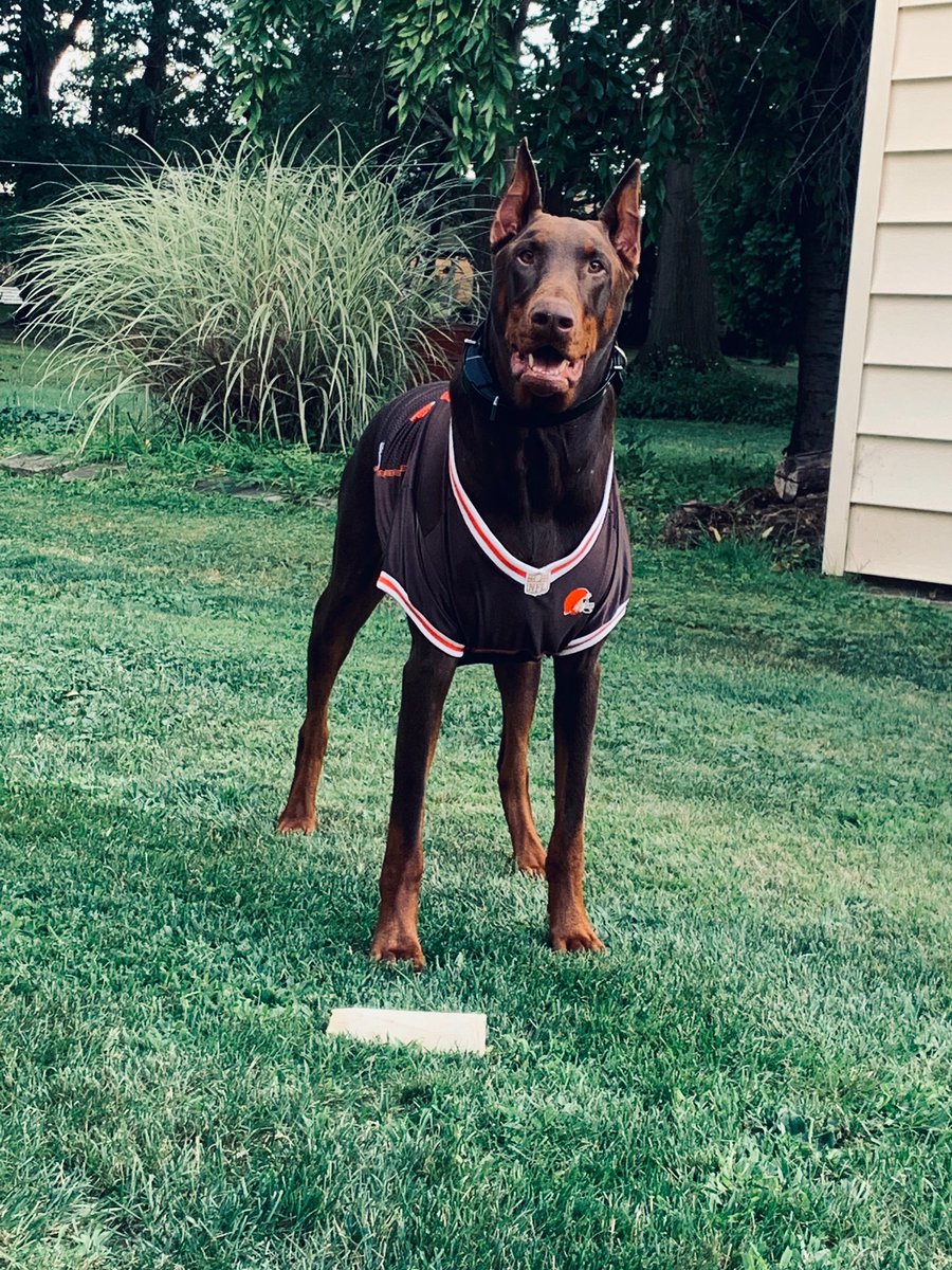 EliShort1's tweet photo. @Browns https://t.co/o4hi0svkuk
