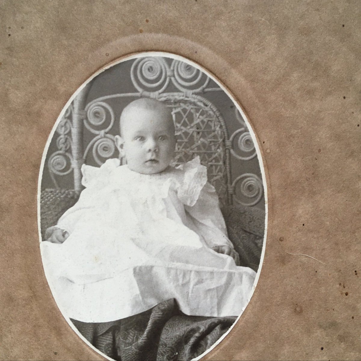 Go peep these 19th century baby cabinet cards on my new website ✨sickcuriosity.com✨