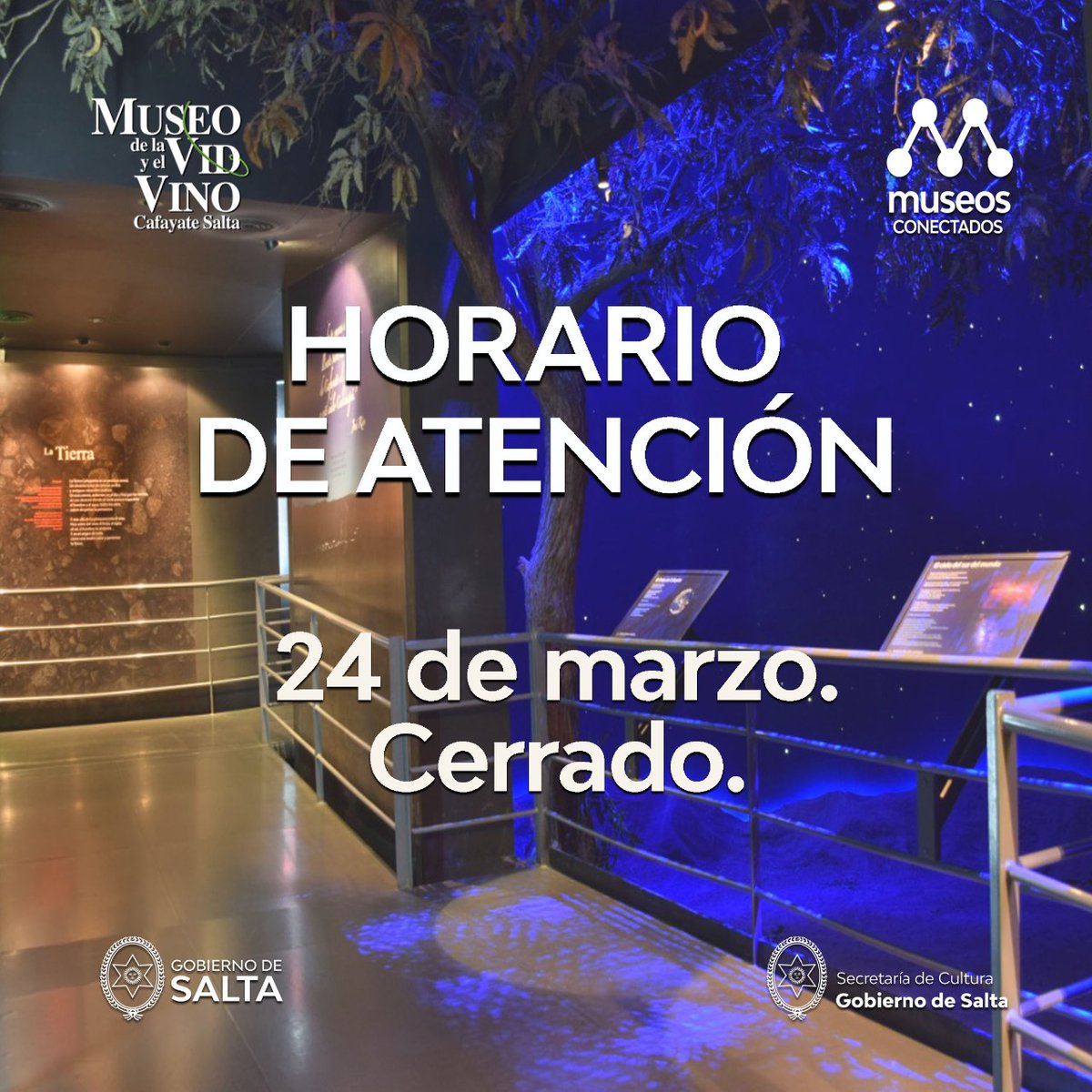 museodelavid's tweet photo. https://t.co/xqgWslPYyq