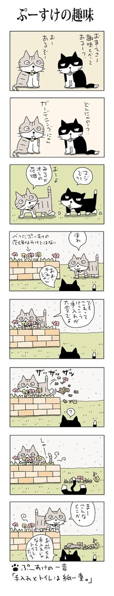 ぷーすけの趣味
#こんなん描いてます
#自作マンガ #漫画 #猫まんが 
#4コママンガ #NEKO3 