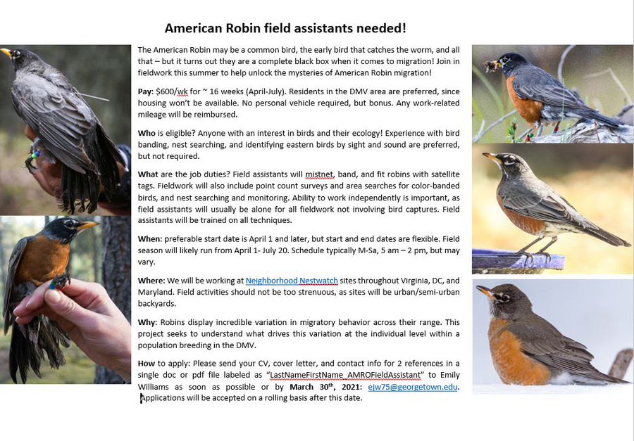Field Assistants needed!! #birds #wildlife