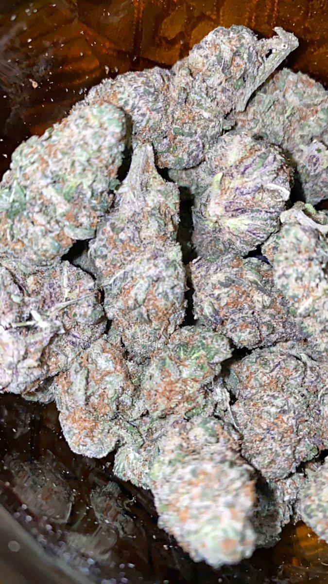 candyshop_407's tweet photo. Which flavor at the Candy Shop you wanna try? #orlandoweed #kissimmeeweed #orlandobud #kissimmeeloud #weedorlando #disneyweed
#orlandotrees #orlandogas #idriveweed #internationaldrweed #orlandoexotics
#universalweed #idriveweed #kissimmeeweed https://t.co/yuwp96xu2S