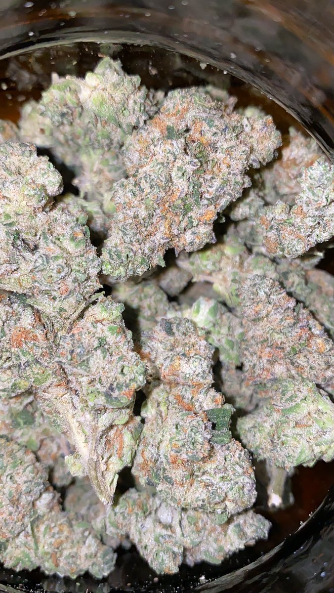 candyshop_407's tweet photo. Which flavor at the Candy Shop you wanna try? #orlandoweed #kissimmeeweed #orlandobud #kissimmeeloud #weedorlando #disneyweed
#orlandotrees #orlandogas #idriveweed #internationaldrweed #orlandoexotics
#universalweed #idriveweed #kissimmeeweed https://t.co/yuwp96xu2S