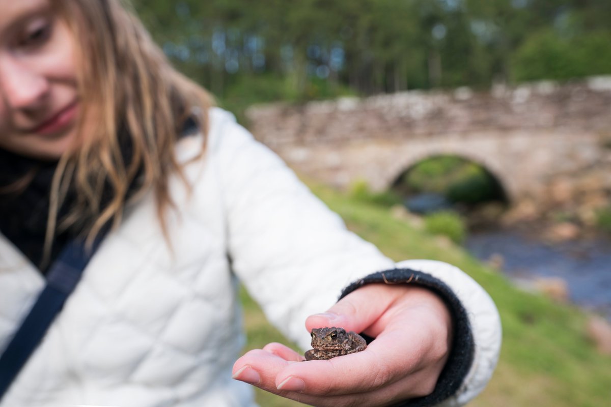 GreenLandscape5's tweet image. Frogs and Toads! 
March / April blog post for Green Landscapes Cornwall by Oliver David Cook 
greenlandscapescornwall.co.uk/gardentips
#greenlandscapescornwallltd #gardeningfalmouth #landscapingfalmouth #landscapingcornwall #oliverdavidcook #gardeningcornwall