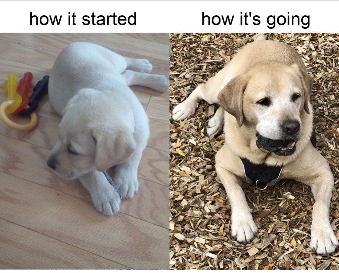 Brenda Landry tweet media