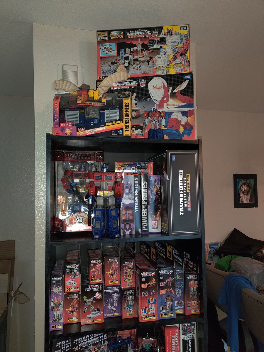 Rozoku's tweet photo. @Endthisfool Let's see your shelf! https://t.co/fGBrqGtS8M