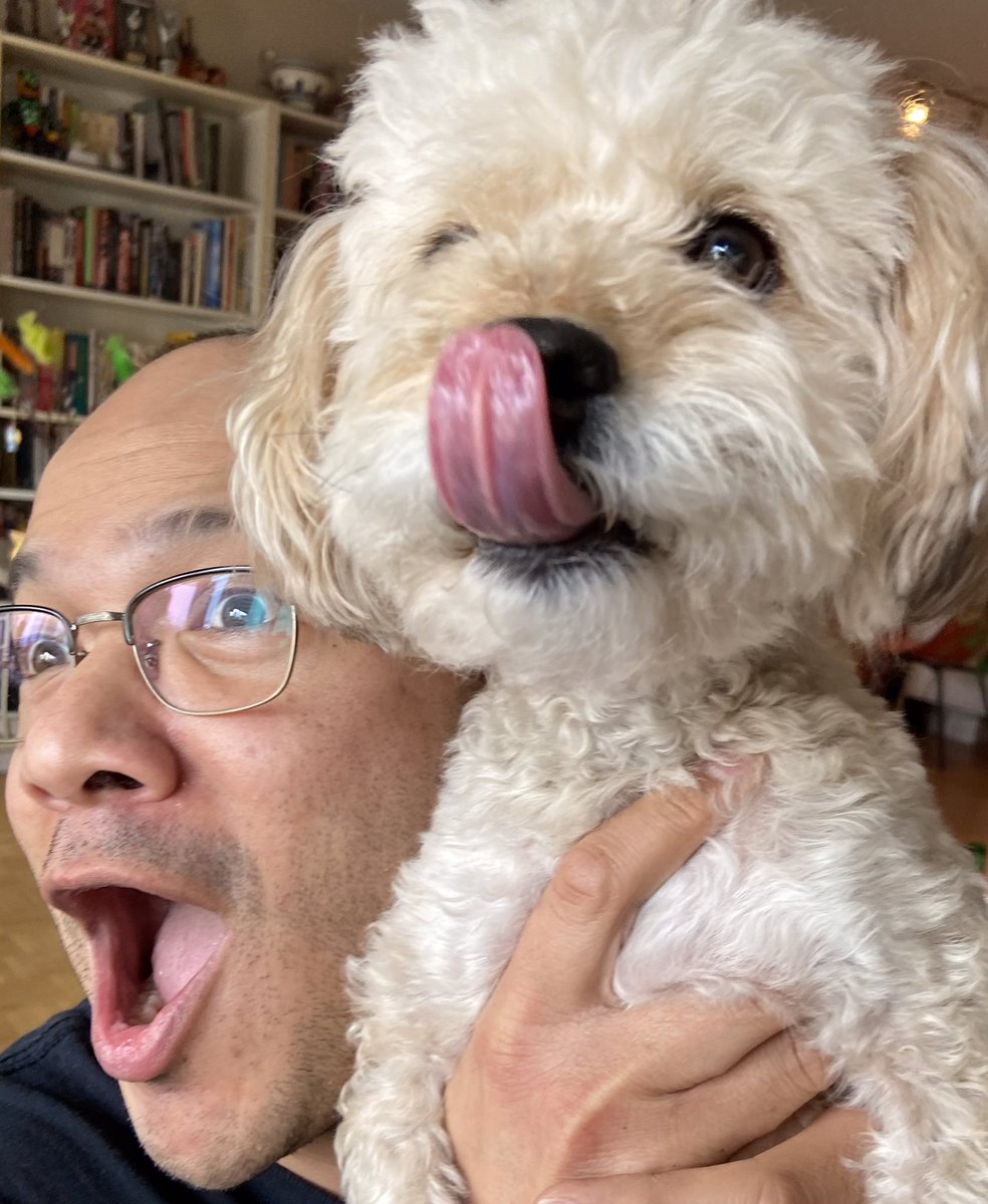 dankojones's tweet photo. Having racists spam my SoMe feeds made me almost forget itโs National Puppy day. Ralph isnโt a puppy but he still gets mistaken for one so today counts for him. Us mutts gotta stick together!
#nationalpuppyday #saveourscruff #everydayismuttday https://t.co/3oDIP4iHr1