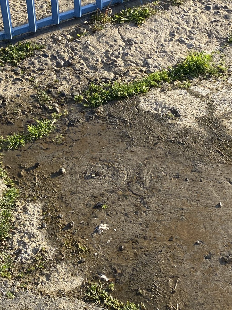 Junta de Vecinos 58 cerro Merced tweet media