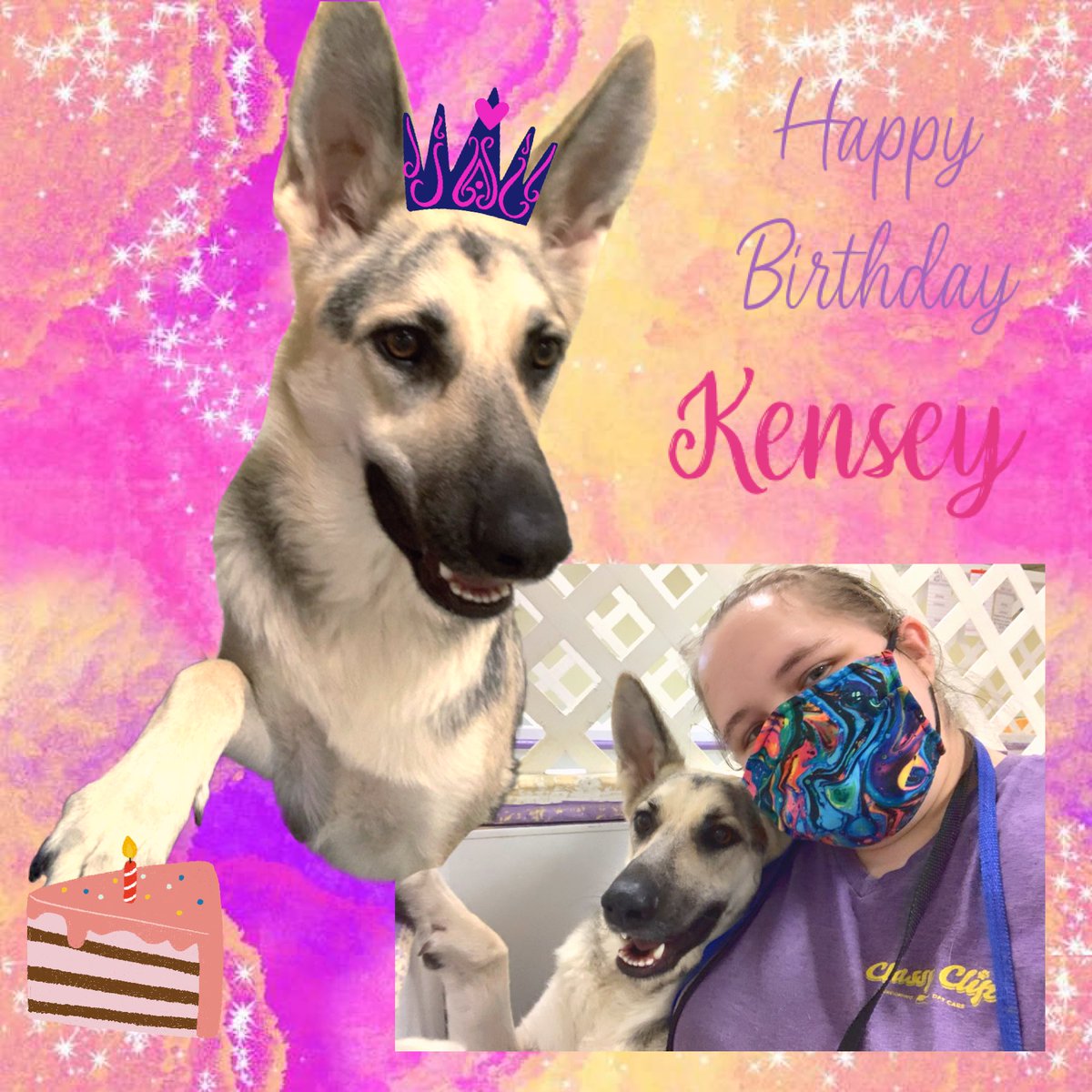 ClassyClipNY's tweet photo. 🎈 We also wanted to wish Happy Birthdays to both Molly &amp; Kensey this week! 🎂 https://t.co/I3silwPd3K