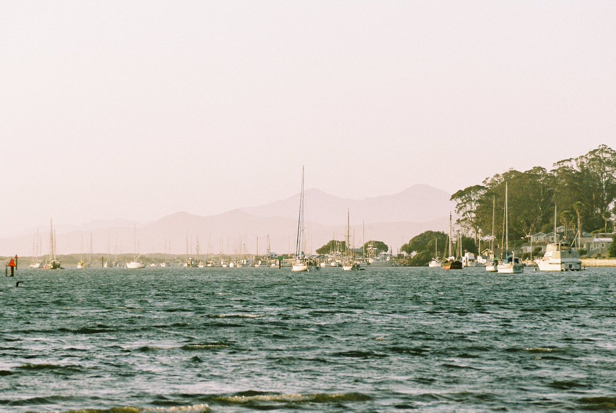 kristinelliss's tweet photo. A sunny day on the pacific coast shot on Portra 160. https://t.co/xrnDDv9rK6