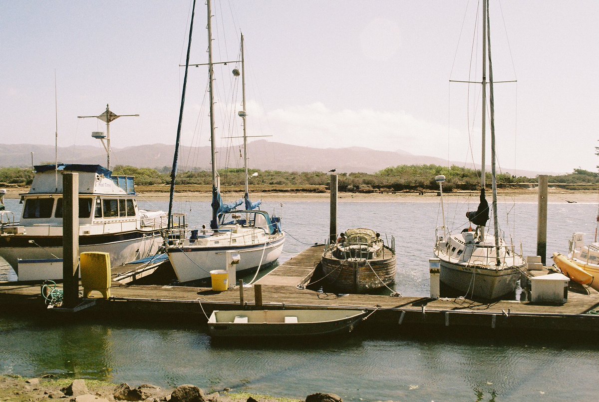 kristinelliss's tweet photo. A sunny day on the pacific coast shot on Portra 160. https://t.co/xrnDDv9rK6