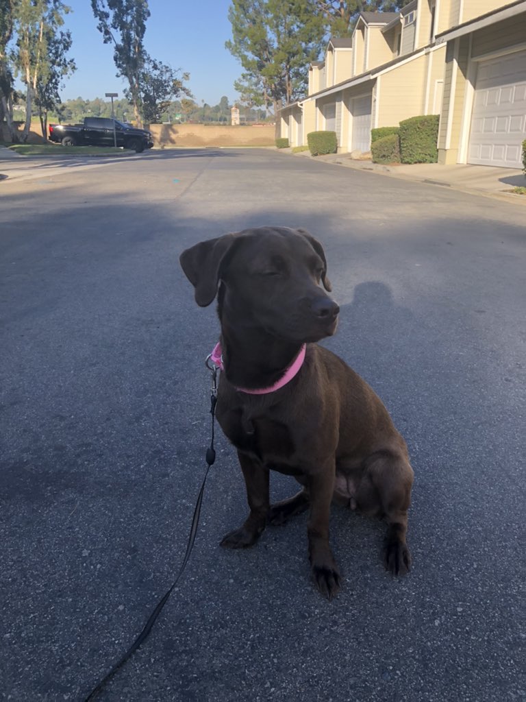 Being Ulti___Future of Ultimate tweet media