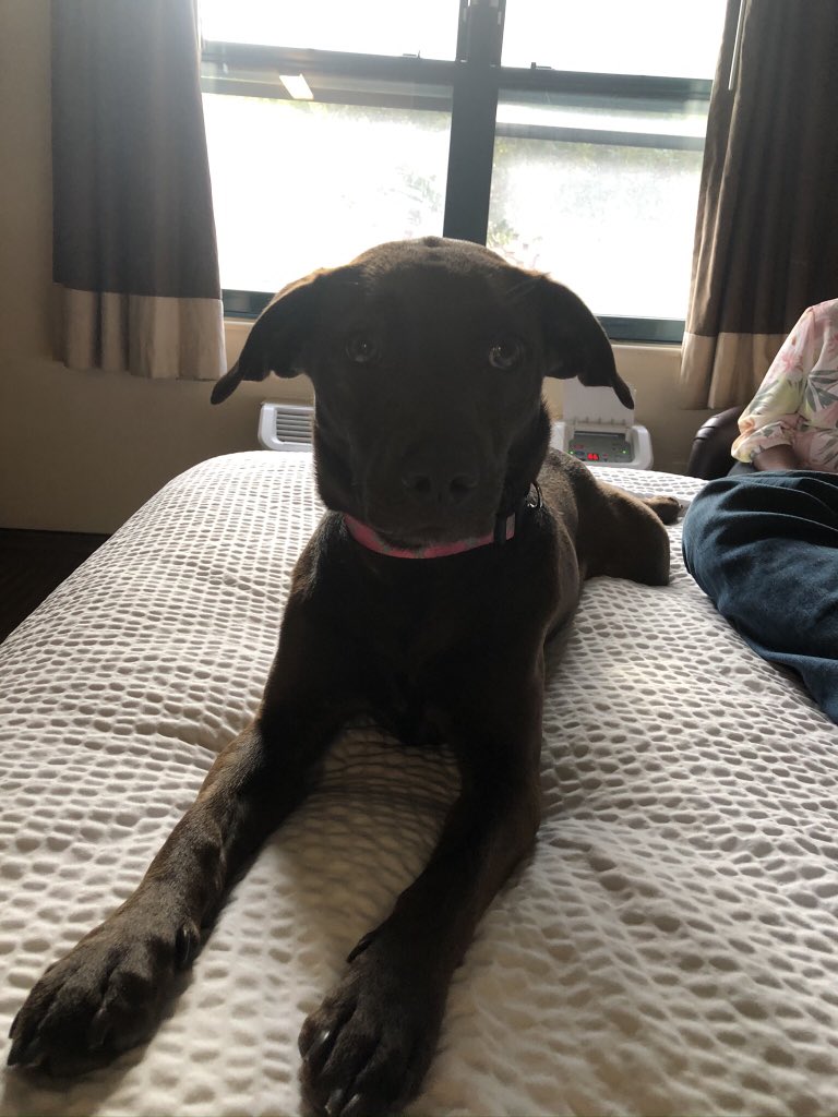 Being Ulti___Future of Ultimate tweet media