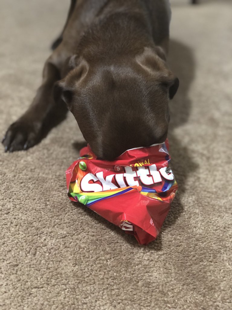 Being Ulti___Future of Ultimate tweet media