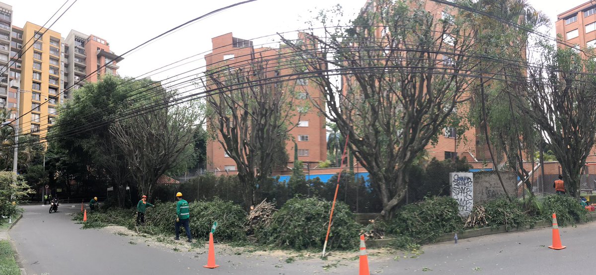 Alejo_AlvarezV's tweet photo. ¿Por qué será que la @AlcaldiaEnv siempre es tan brutal y despiadada en su manejo de la naturaleza urbana? ¿Será que la motosierra terminará siendo el símbolo del gobierno de @braulioEMarquez?  👇🏽 https://t.co/o2TbGO9aCL
