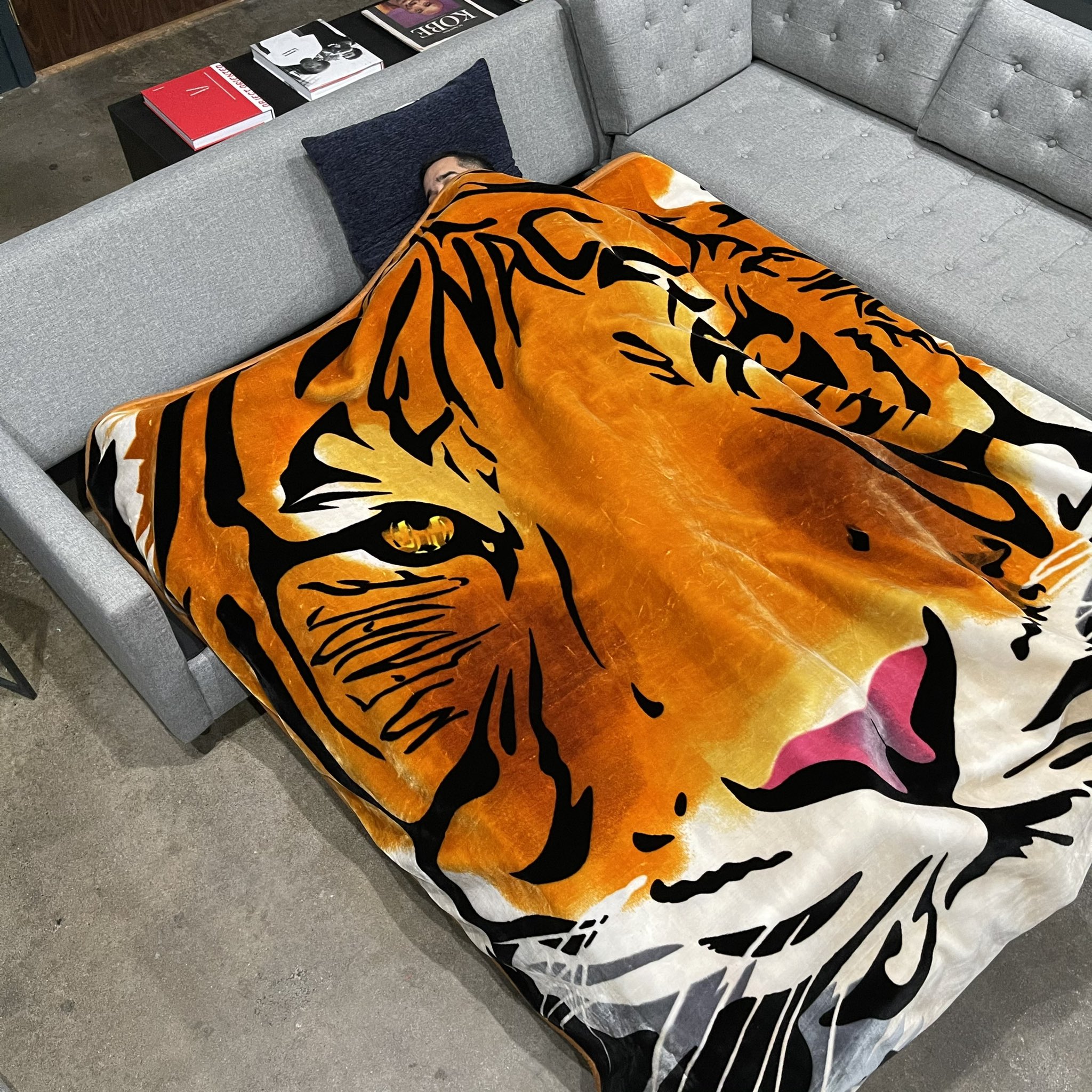 Steven Menace On Twitter Product Testing The Menace Cobija Mexican Blanket Https Tco H2kcuzqw8o Twitter Steven Menace On Twitter Product Testing The Menace Cobija Mexican Blanket Https Tco H2kcuzqw8o Twitter