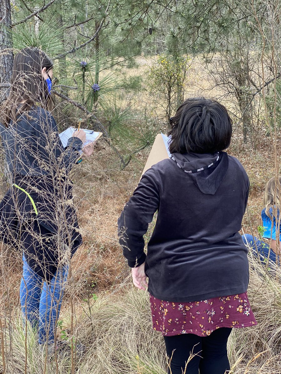 LMMSRocks's tweet photo. 6th grade Science students observed plants and their structures today. #lmmsrocks https://t.co/5PURwkcUiA