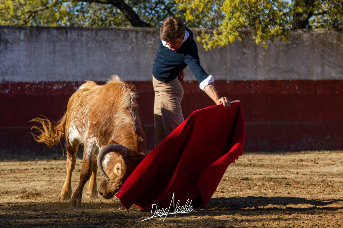 Humillación, base fundamental de la bravura!!!