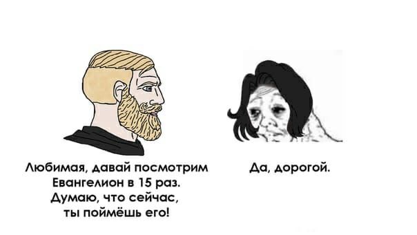 cheshkina tweet picture