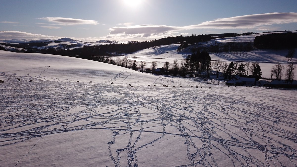 CycleBorders's tweet image. Some of the beautiful Scottish Borders scenery featured in a new film from round the world cyclists @MrMarkBeaumont &amp;amp; @reizkultur - 'Explore your boundaries' - You can watch it on YouTube here youtube.com/watch?v=wCRG8-… #visitscotland #scotlandstartshere