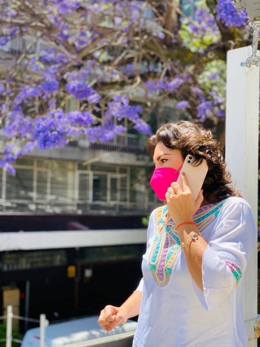 IvonneOP's tweet photo. Me encanta la temporada de Jacarandas 💜
Les comparto esta jacaranda bellísima que está en nuestra sede nacional. ¿A ustedes también les gustan tanto como a mí? https://t.co/VElOsFlD8F
